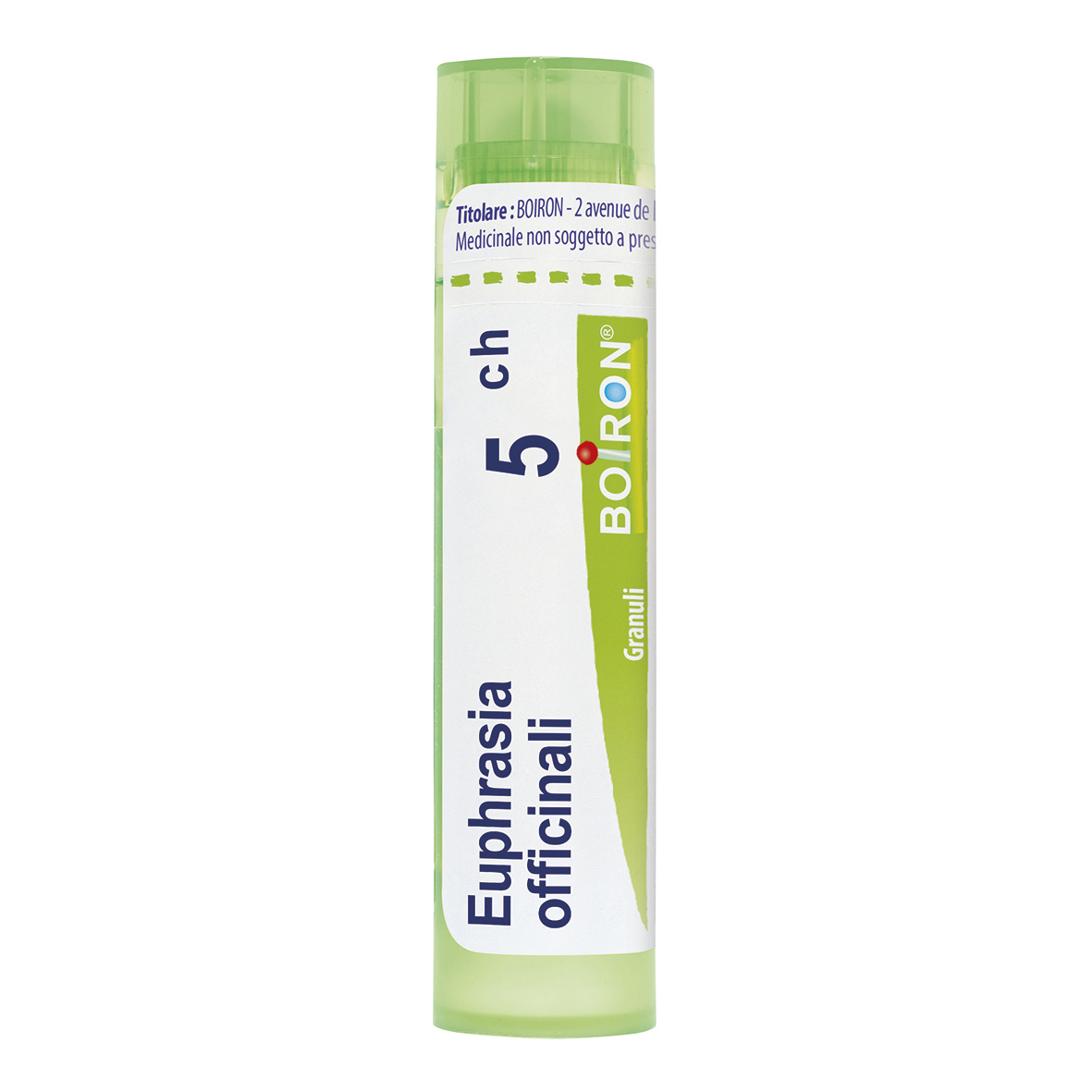 Euphrasia off 5ch gr