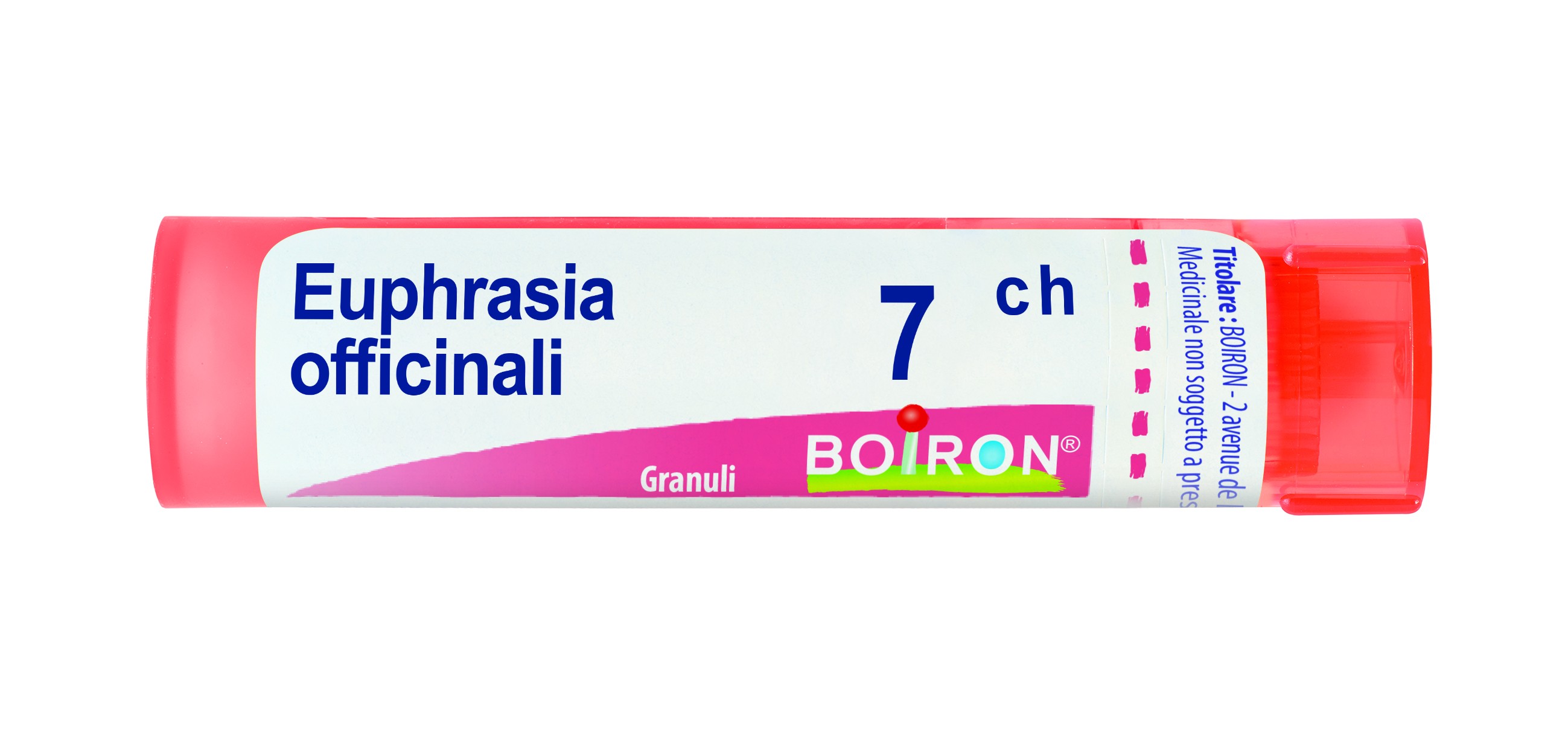 Euphrasia off 7ch gr bo
