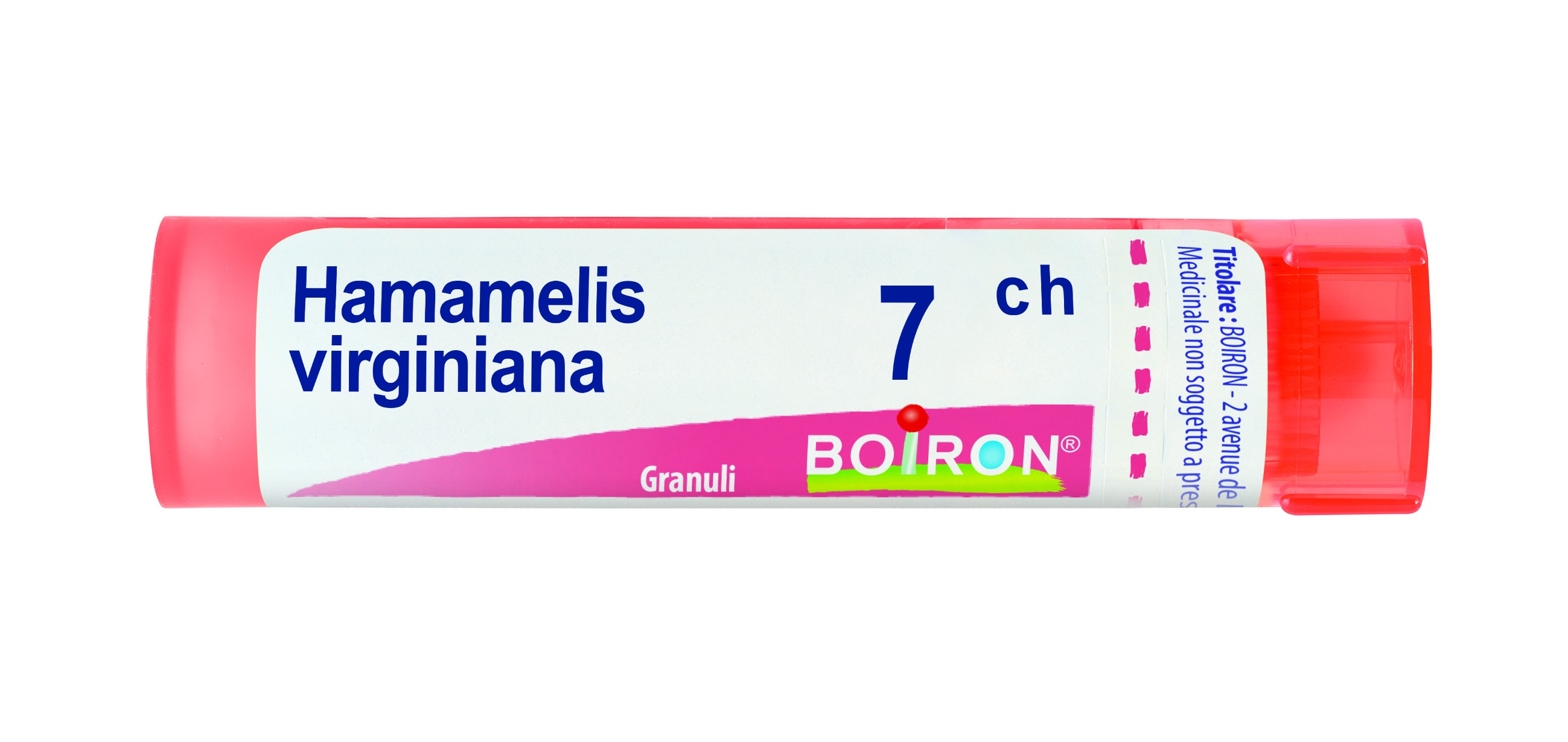 Hamamelis virg 7ch gr