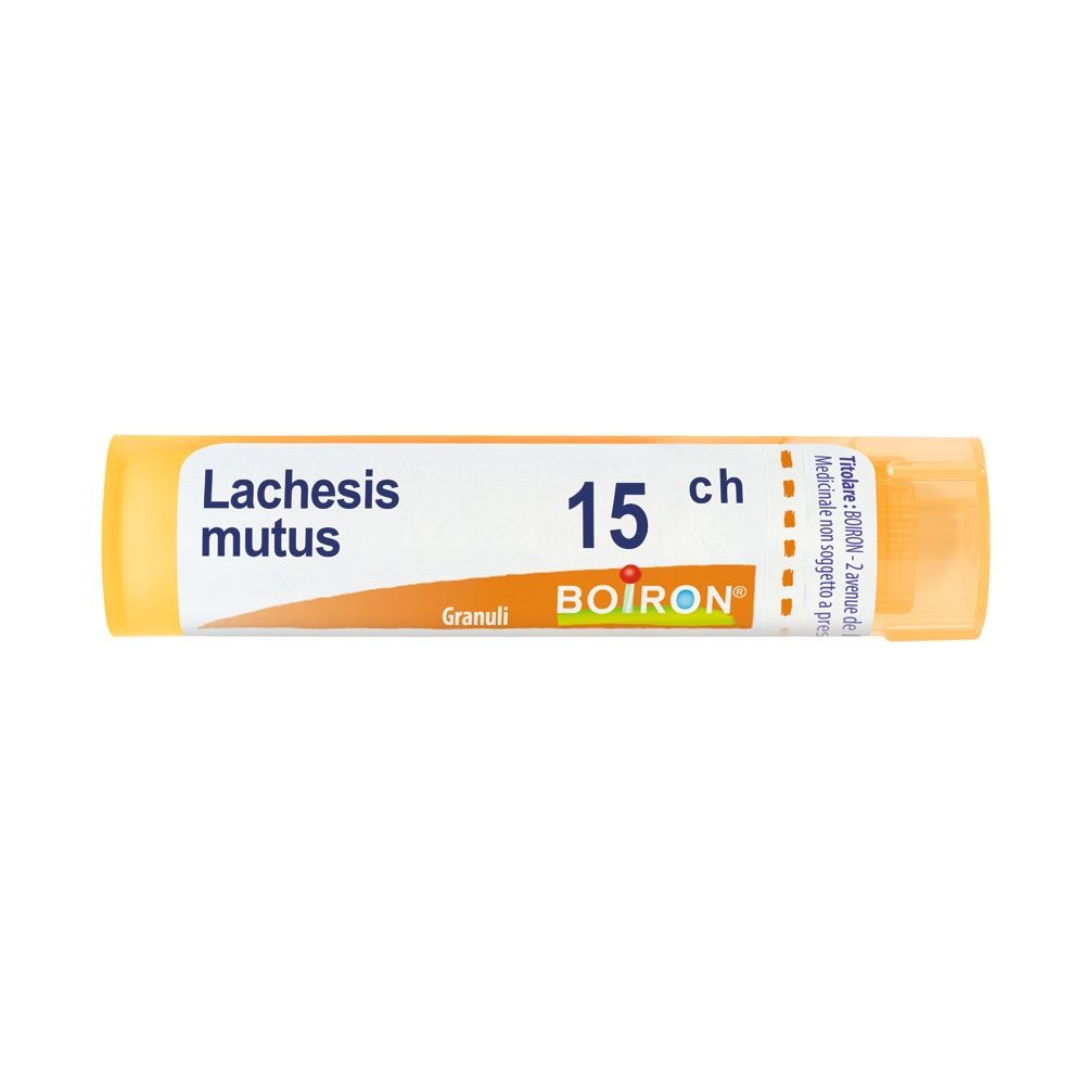 Lachesis mutus 15ch gr bo