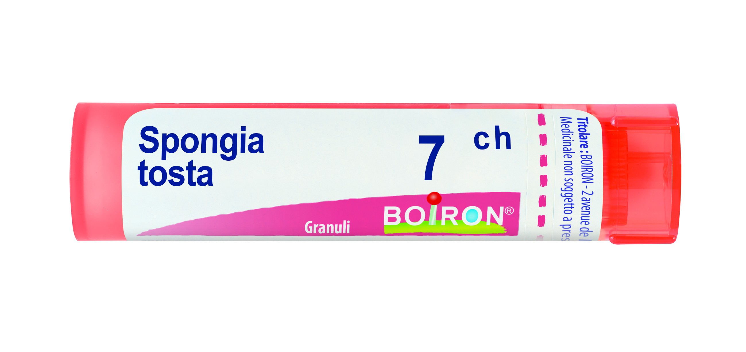 Spongia tosta 7ch gr