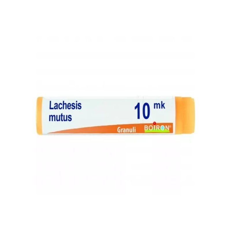 Lachesis mutus xmk gl bo