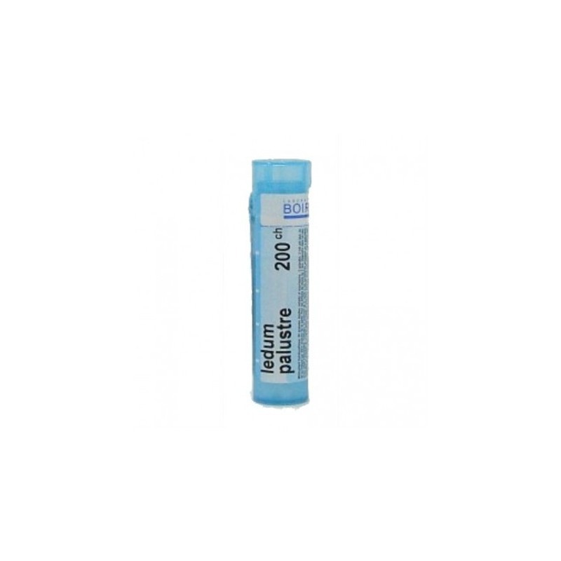 Ledum palustre bo 200ch gl