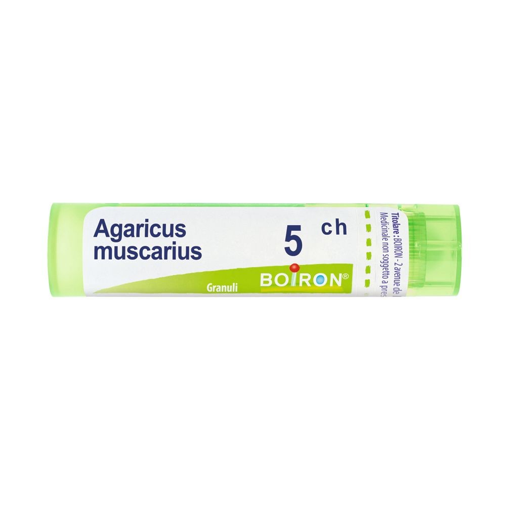 Agaricus muscar bo tg 5ch