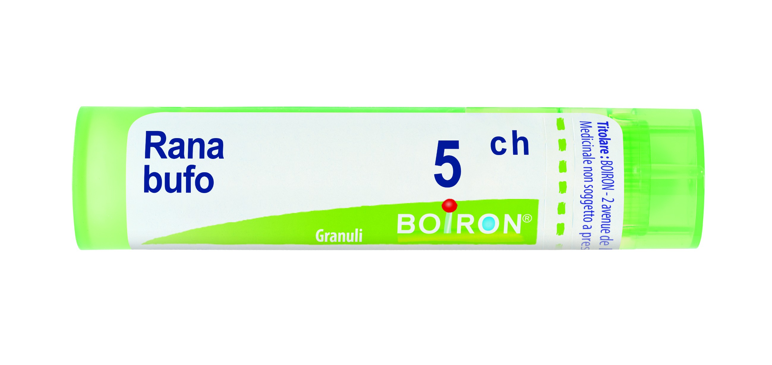 Rana bufo 5ch gr