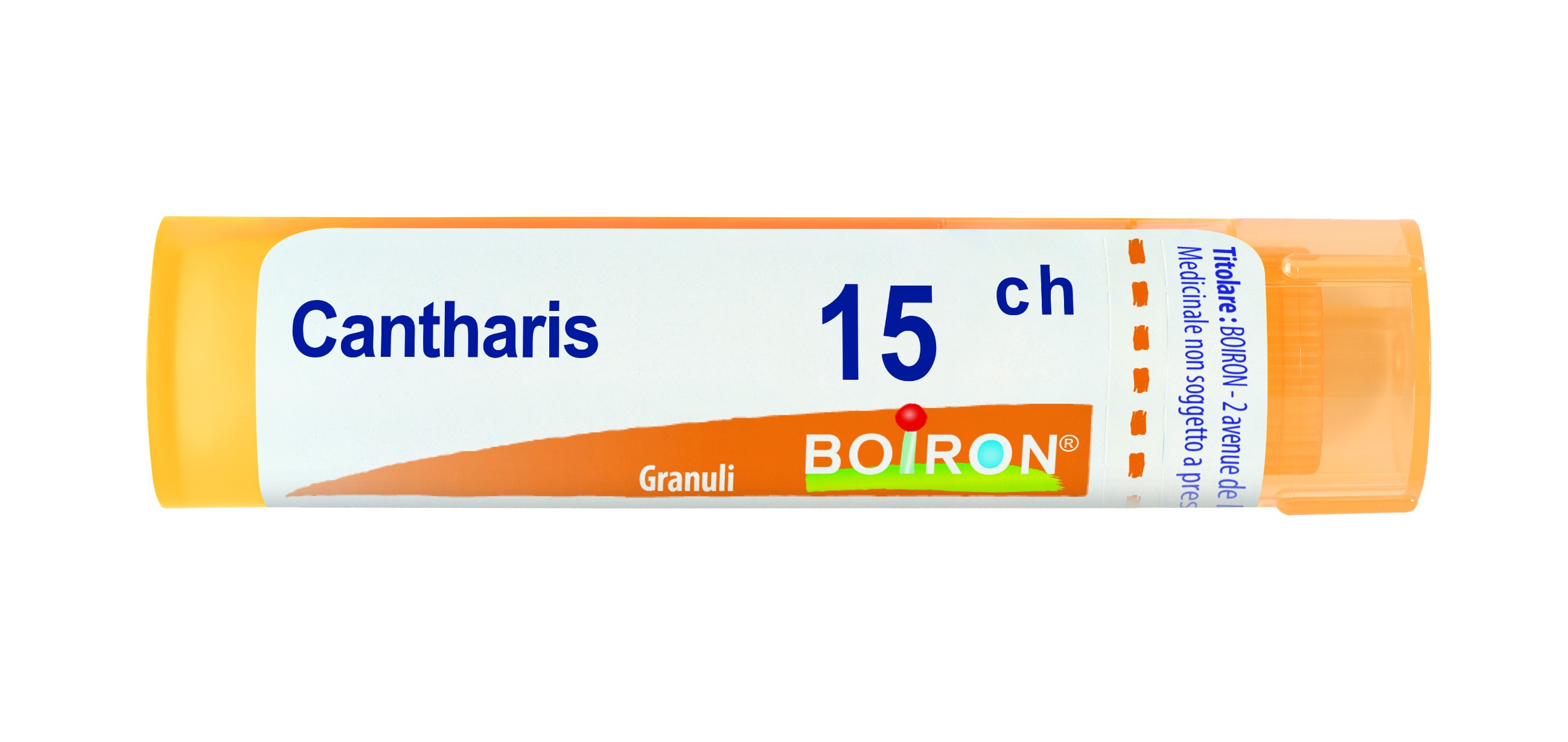Cantharis bo 15ch gr