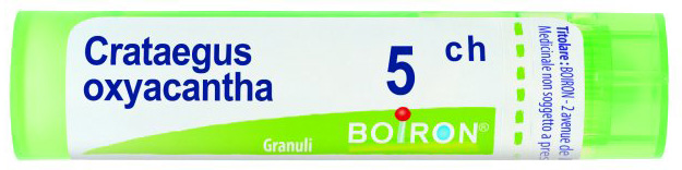Crataegus oxyac bo tg 5ch