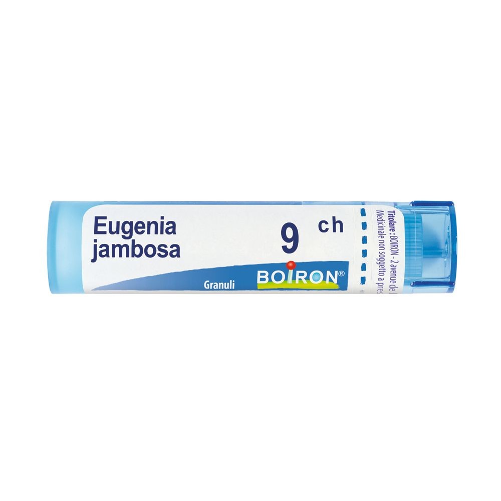 Eugenia jambosa 9ch gr boir