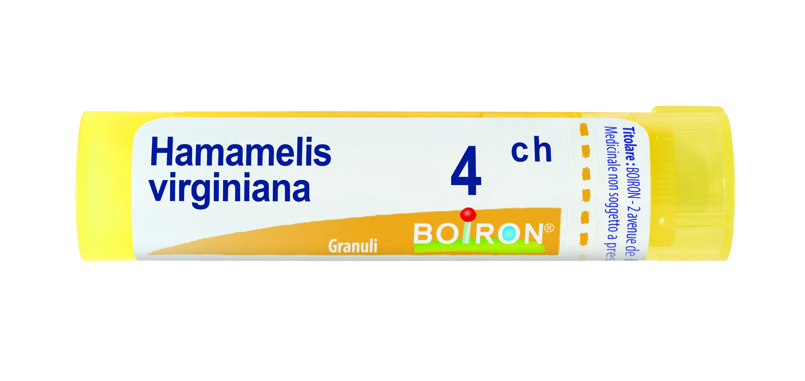 Hamamelis virg 4ch gr