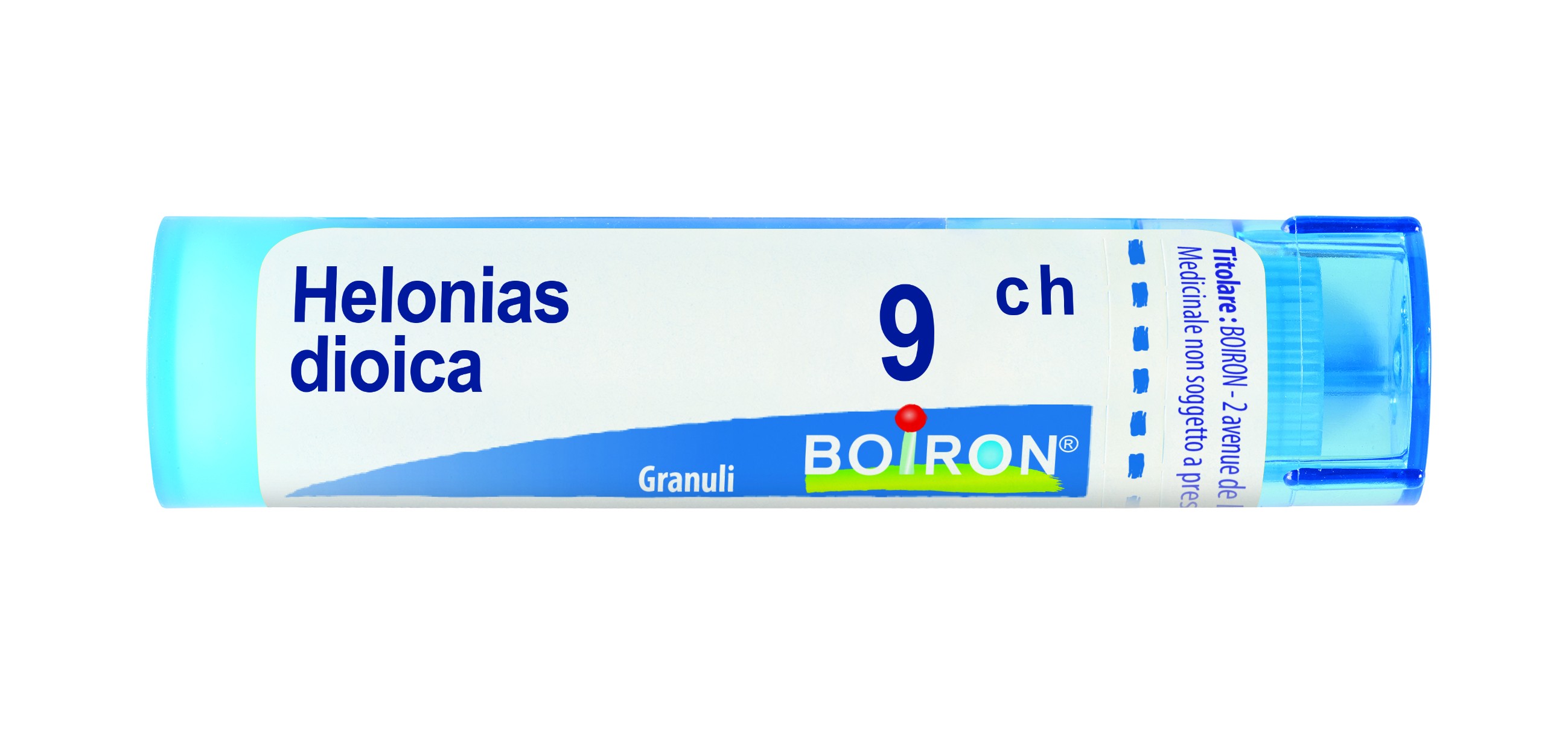 Helonias dioica 9ch gr