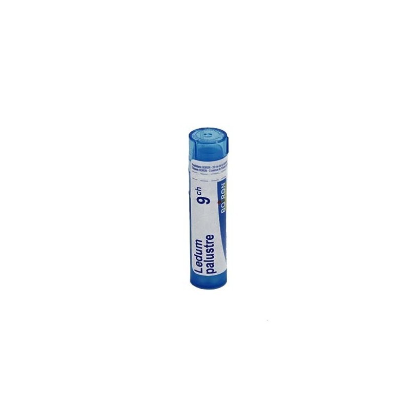 Ledum palustre 9ch gl bo