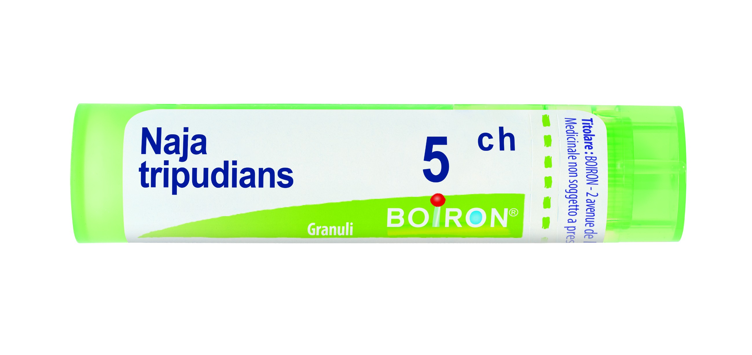 Naja tripudians 5ch gr