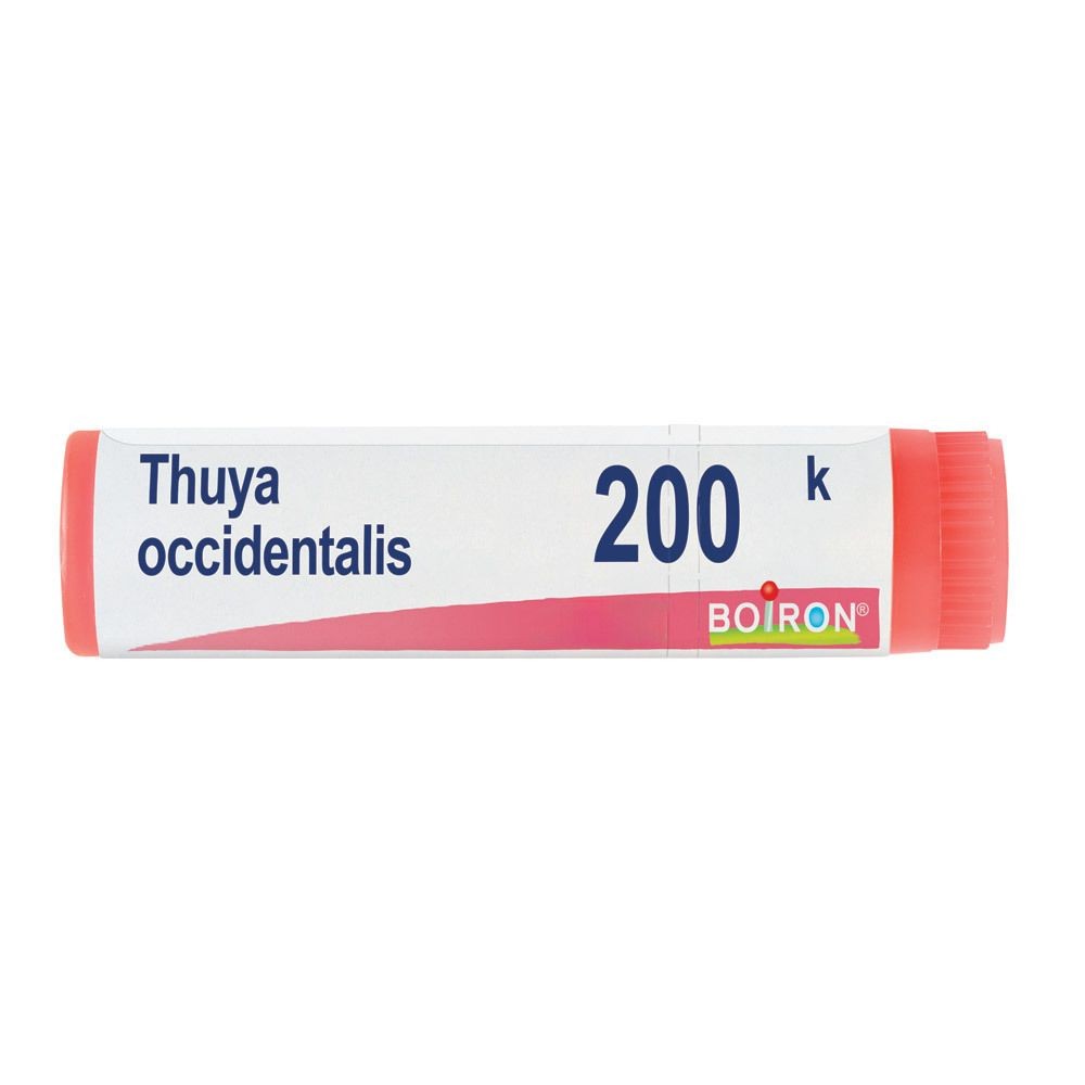 Thuya occident 200k gl bo