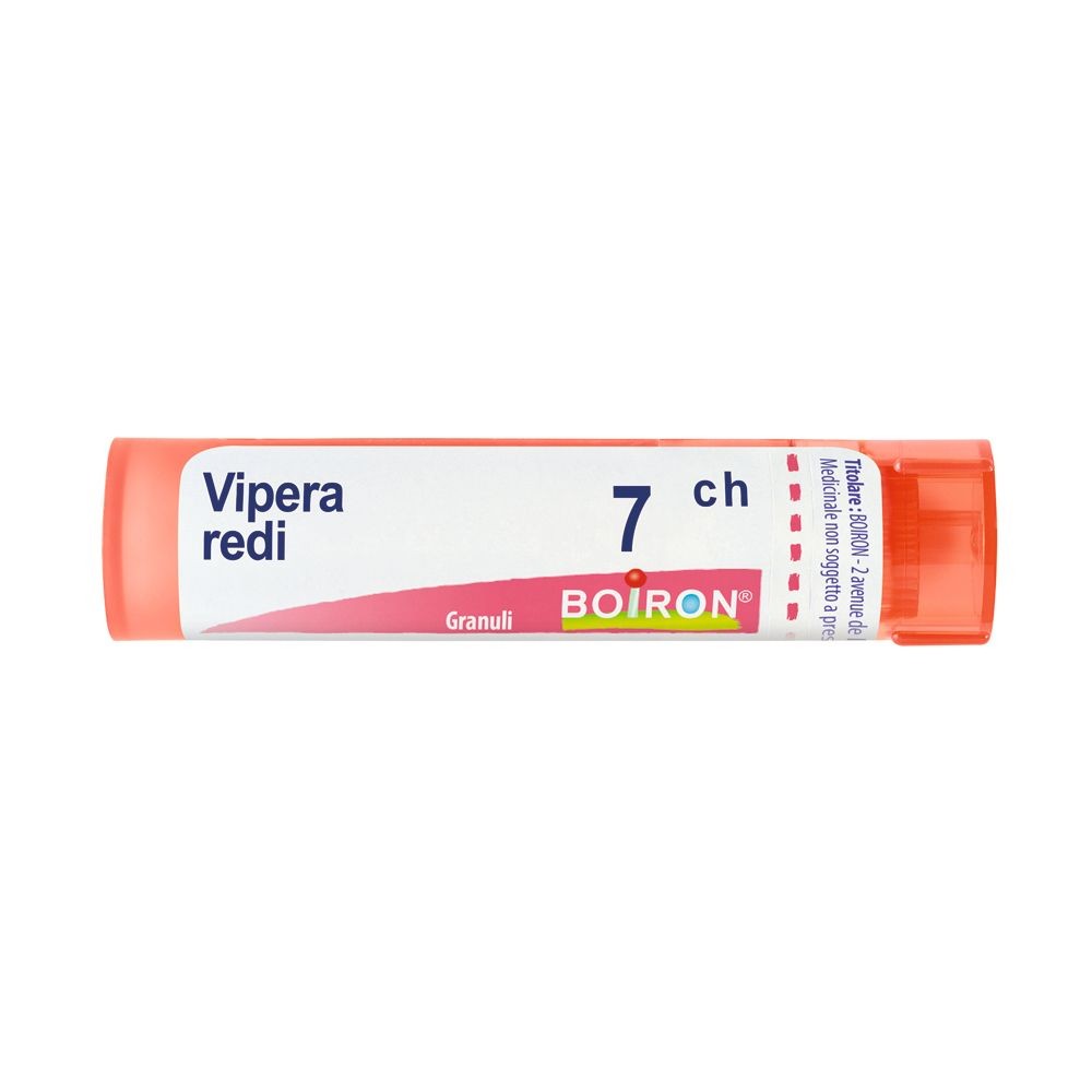 Vipera redi 7ch gr