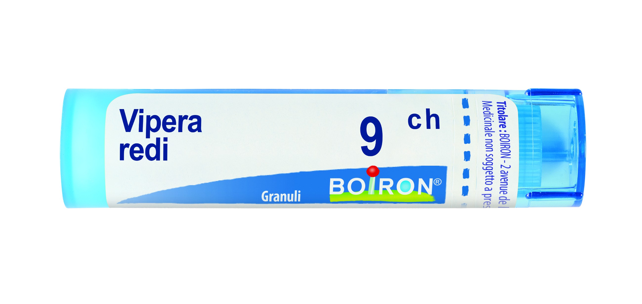Vipera redi 9ch gr