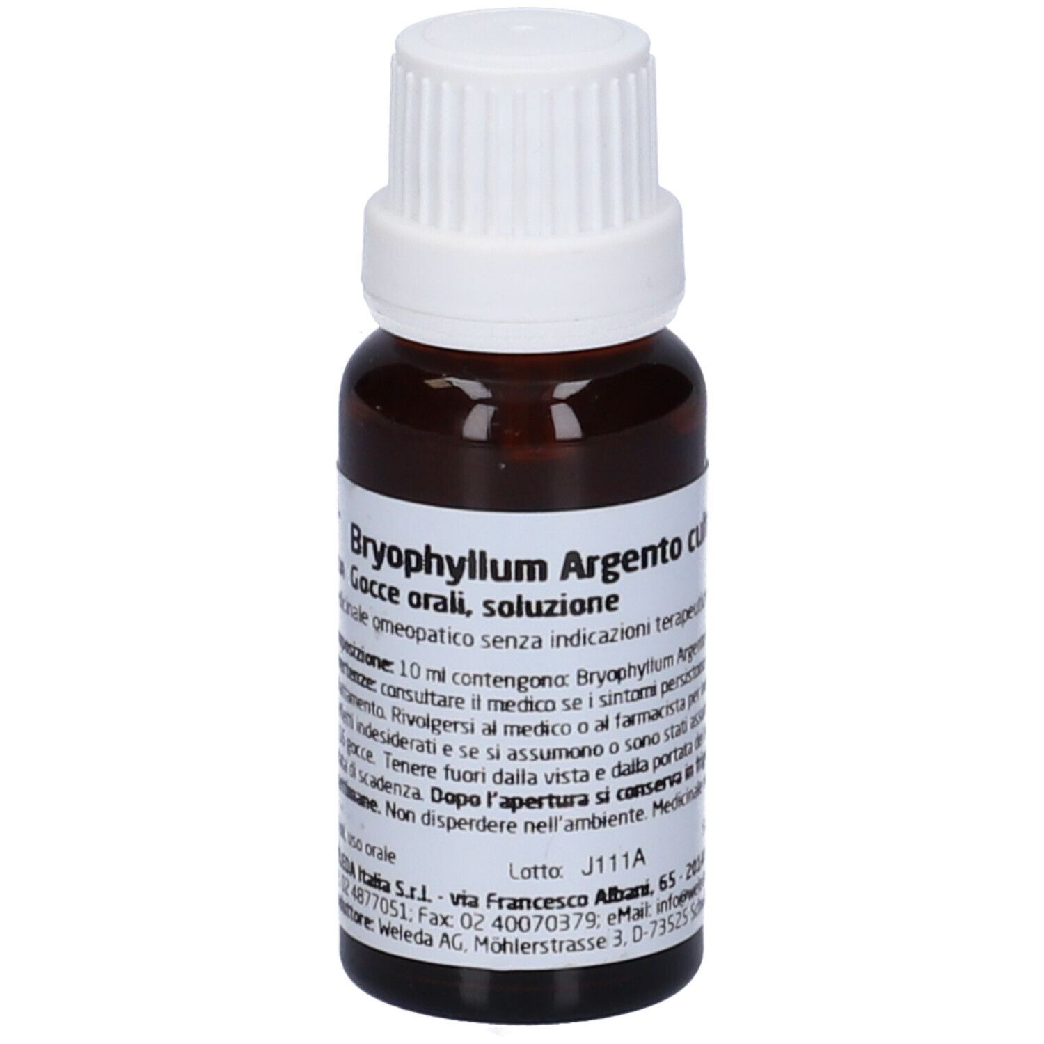 Bryophyllum arg rh d3 gt 20ml we