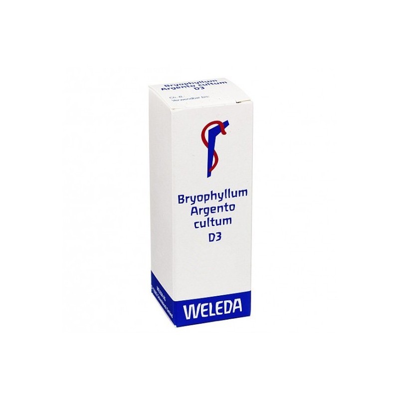 Bryophyllum arg cult d3 50ml we