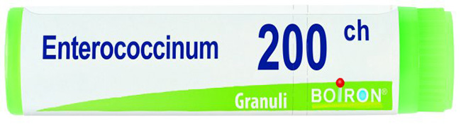 Enterococcinum 200ch gl bo