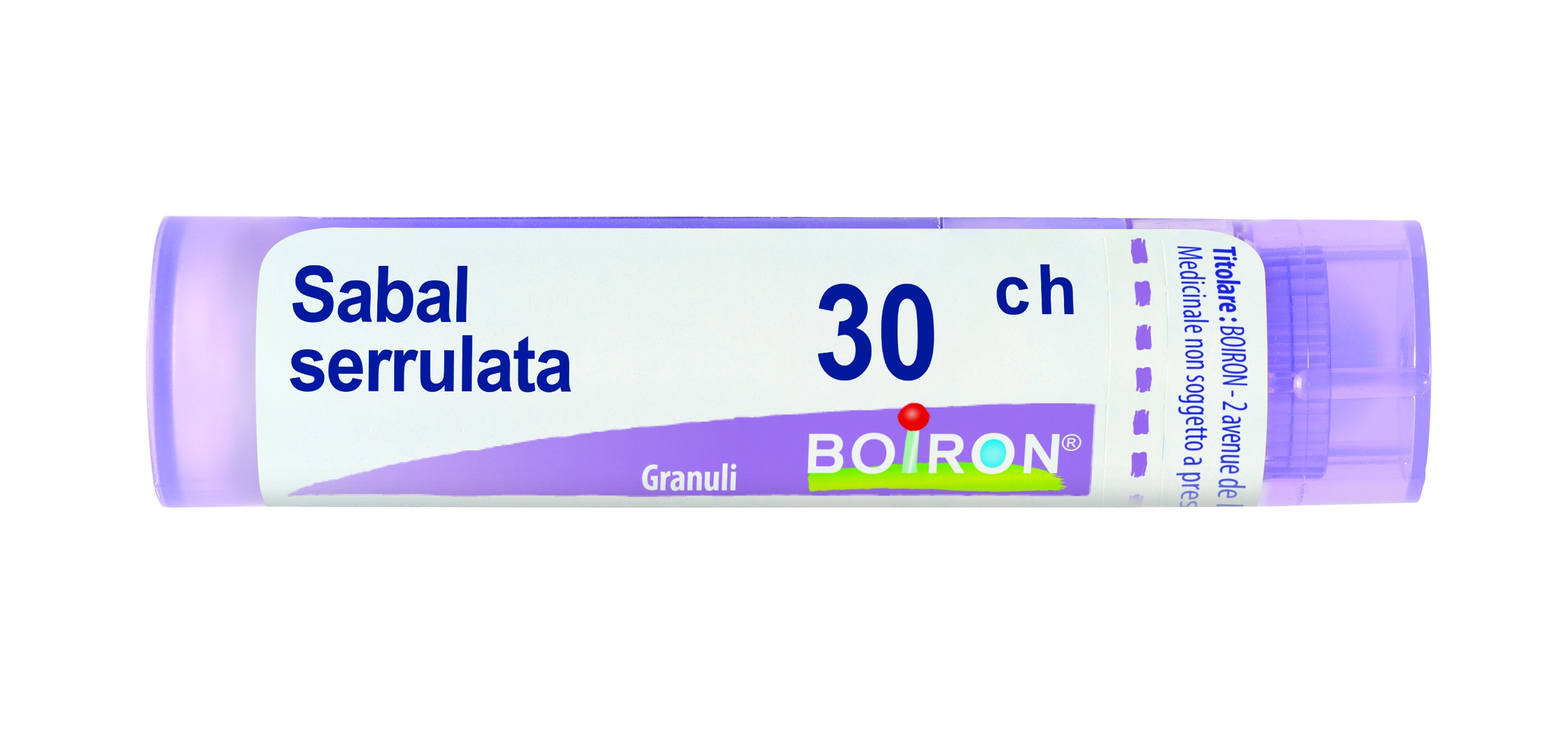 Sabal serrulata 30ch gr
