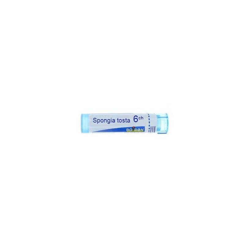 Spongia tosta 6ch gr bo