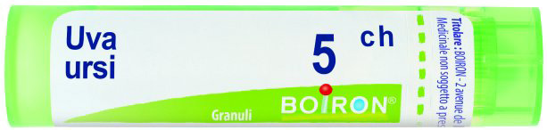 Uva ursi 5ch gr bo