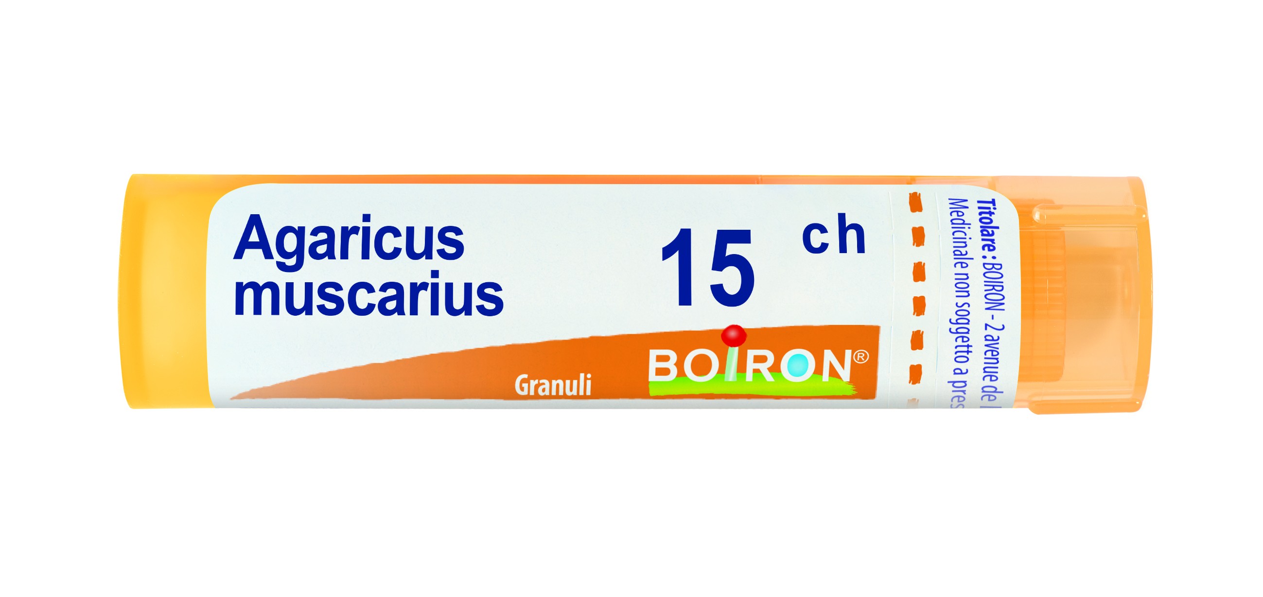 Agaricus muscarius 15ch gr