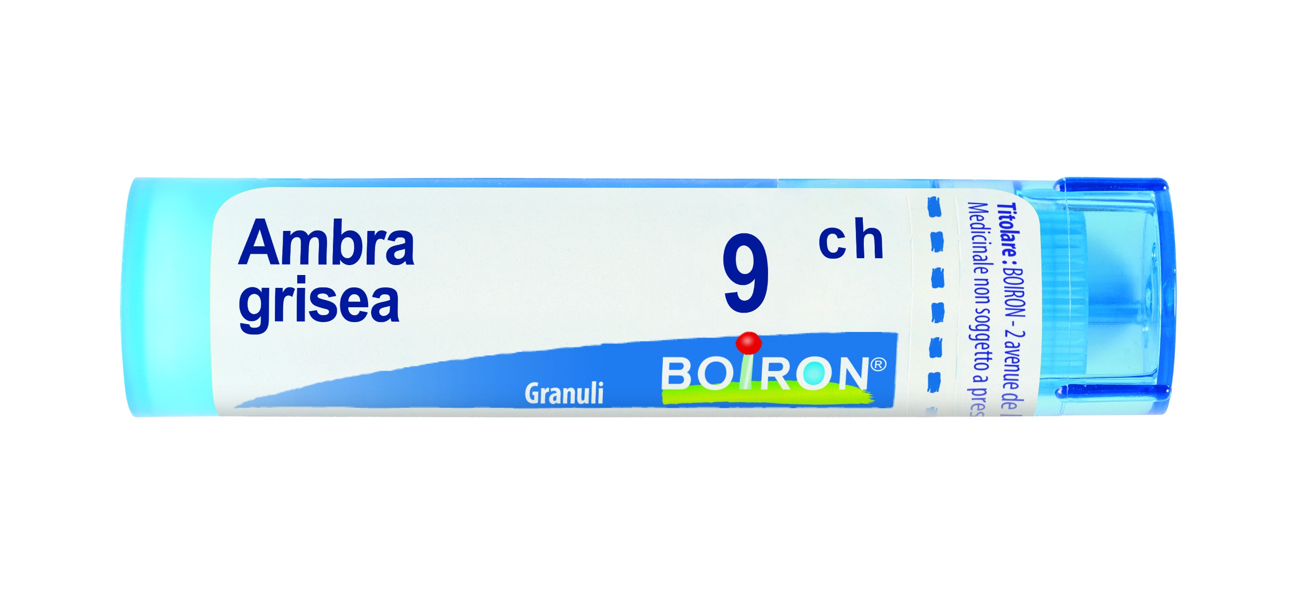 Ambra grisea 9ch gr bo