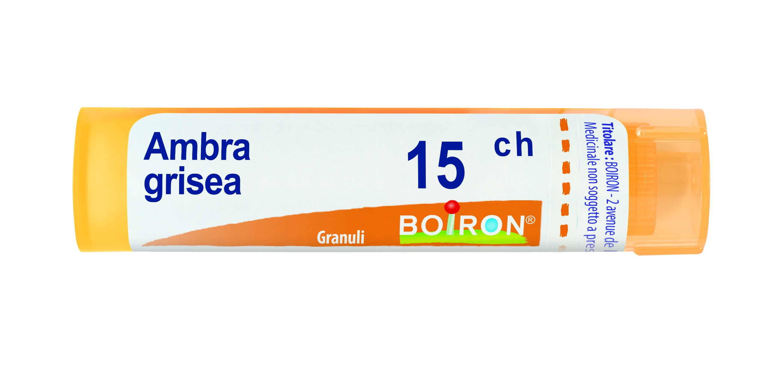 Ambra grisea 15ch gr bo