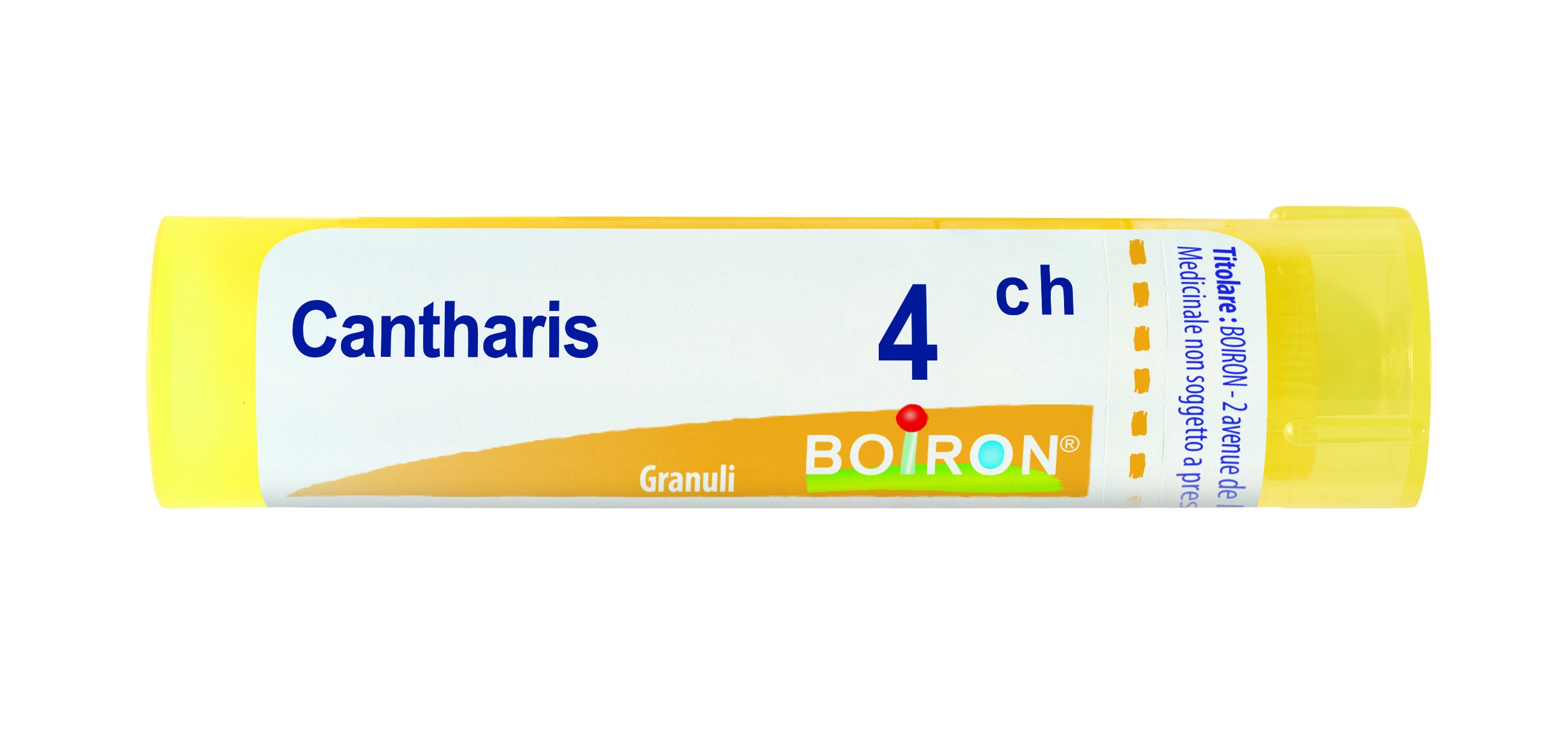 Cantharis 4Ch Gr