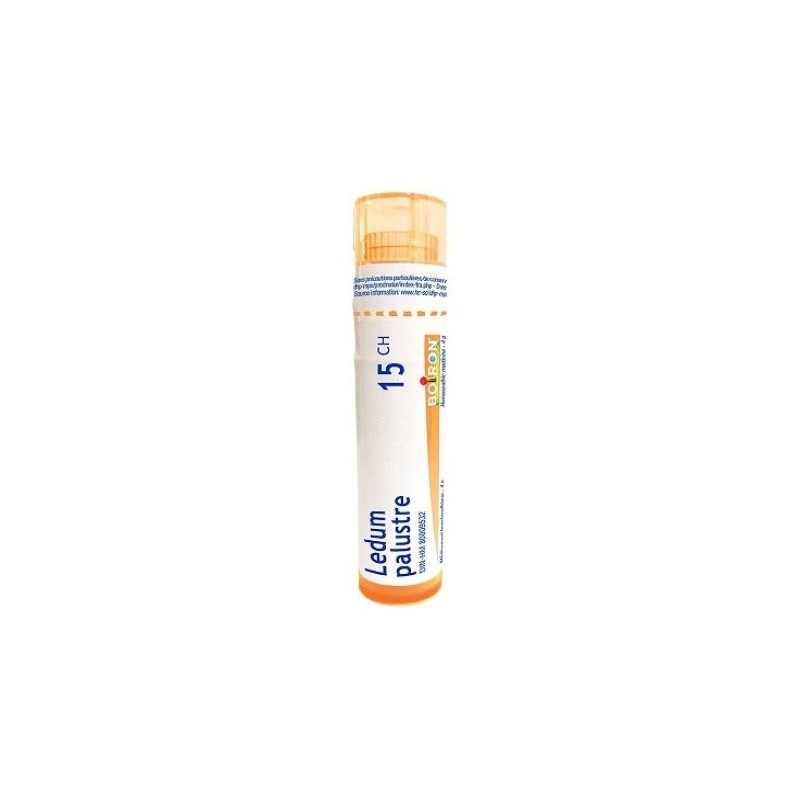 Ledum palustre 15ch gr bo