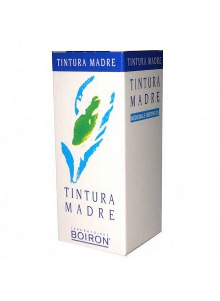 Betula alba 60ml tm bo