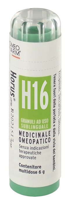 Horus h16 gran 6g