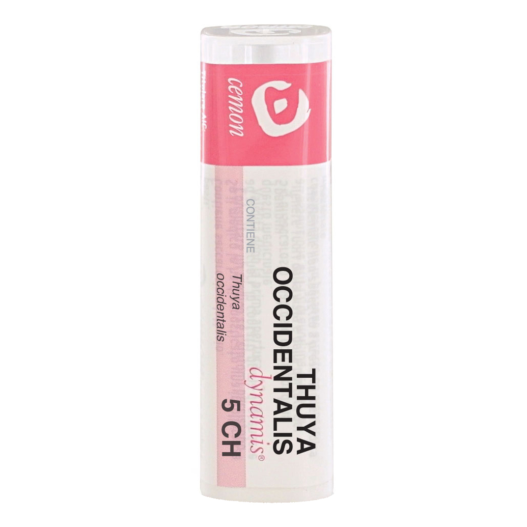 Thuya occident 5ch gr