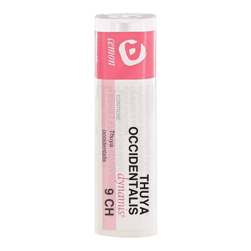 Thuya occident 9ch gr
