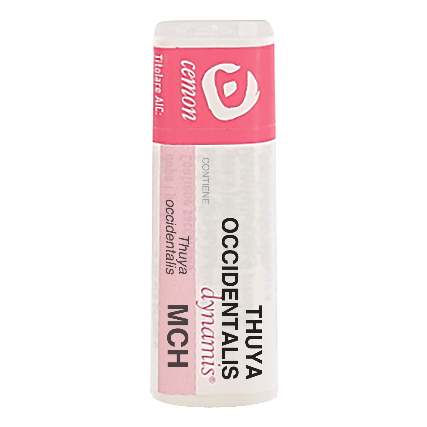 Thuya occident mch gl cemon