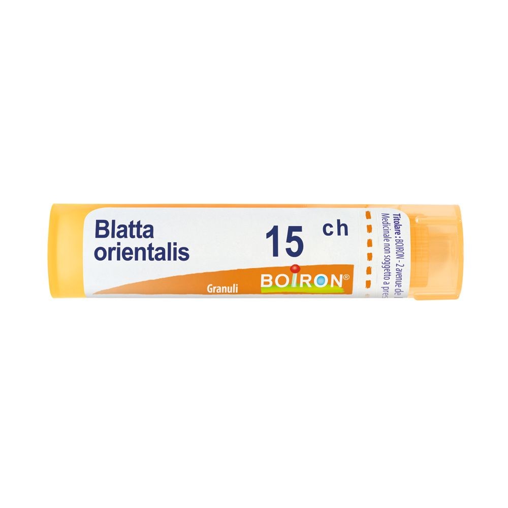 Blatta oriental 15ch gr bo