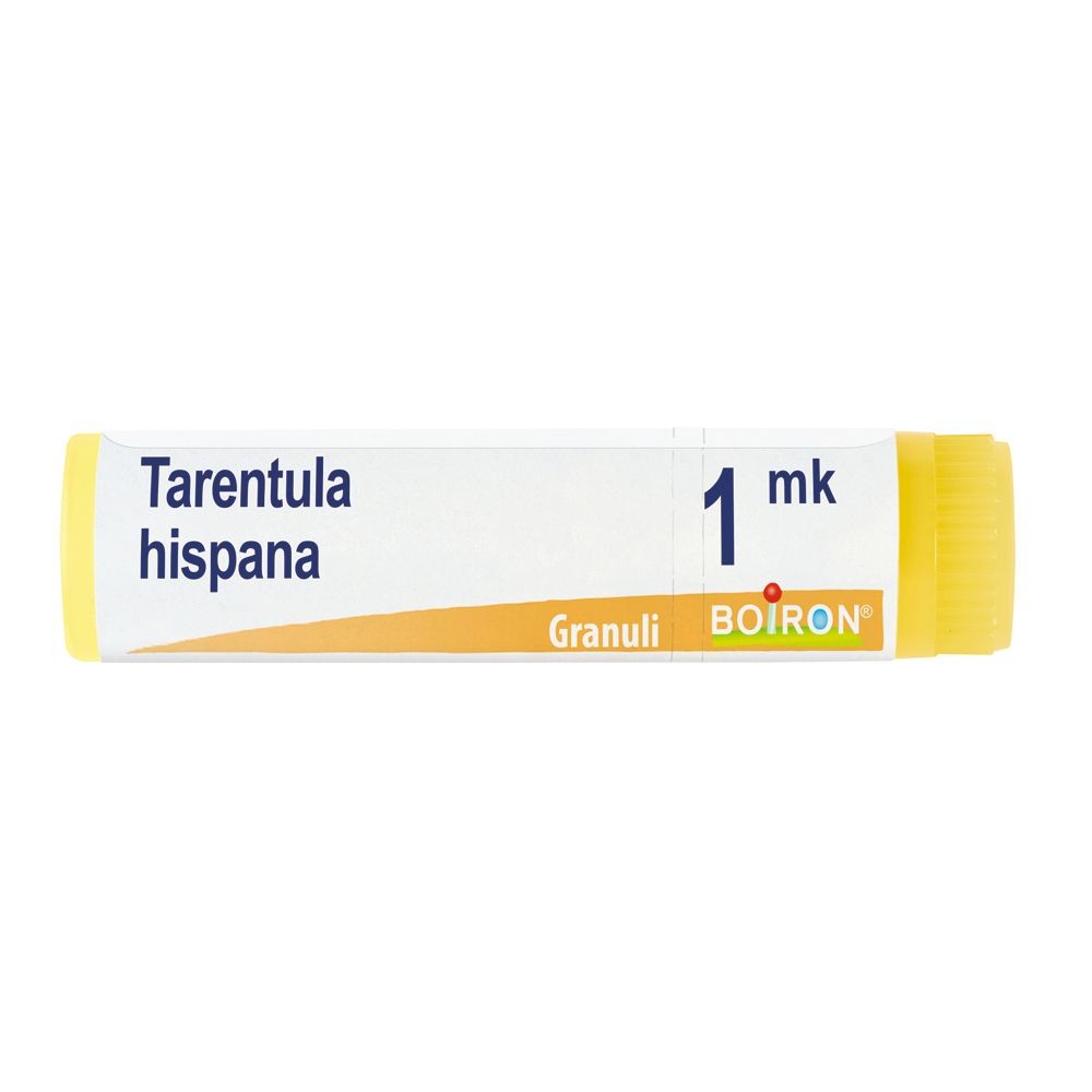 Tarentula hispana mk gl