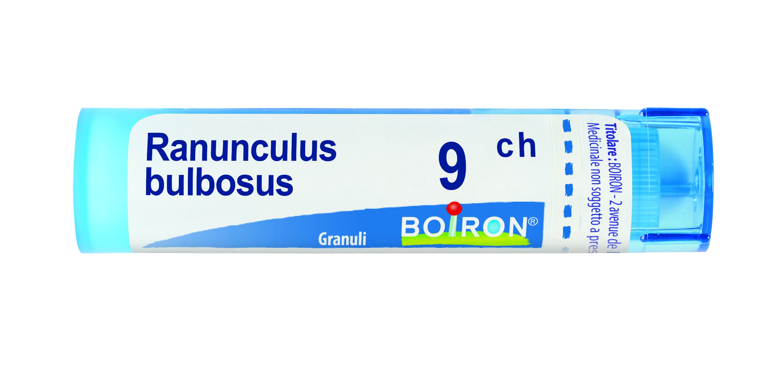 Ranunculus bulbosus 9ch gr