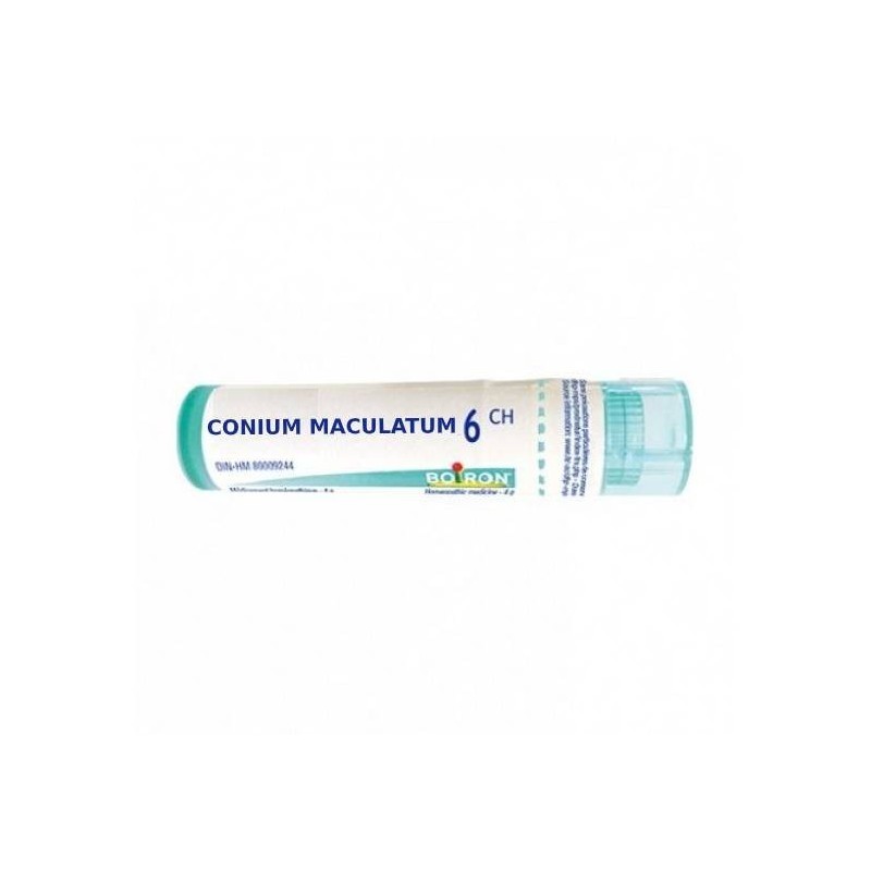 Conium maculatum 6ch gr