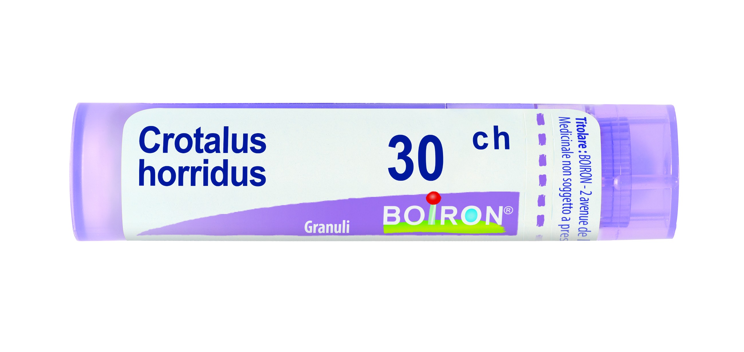 Crotalus horridus 30ch gr