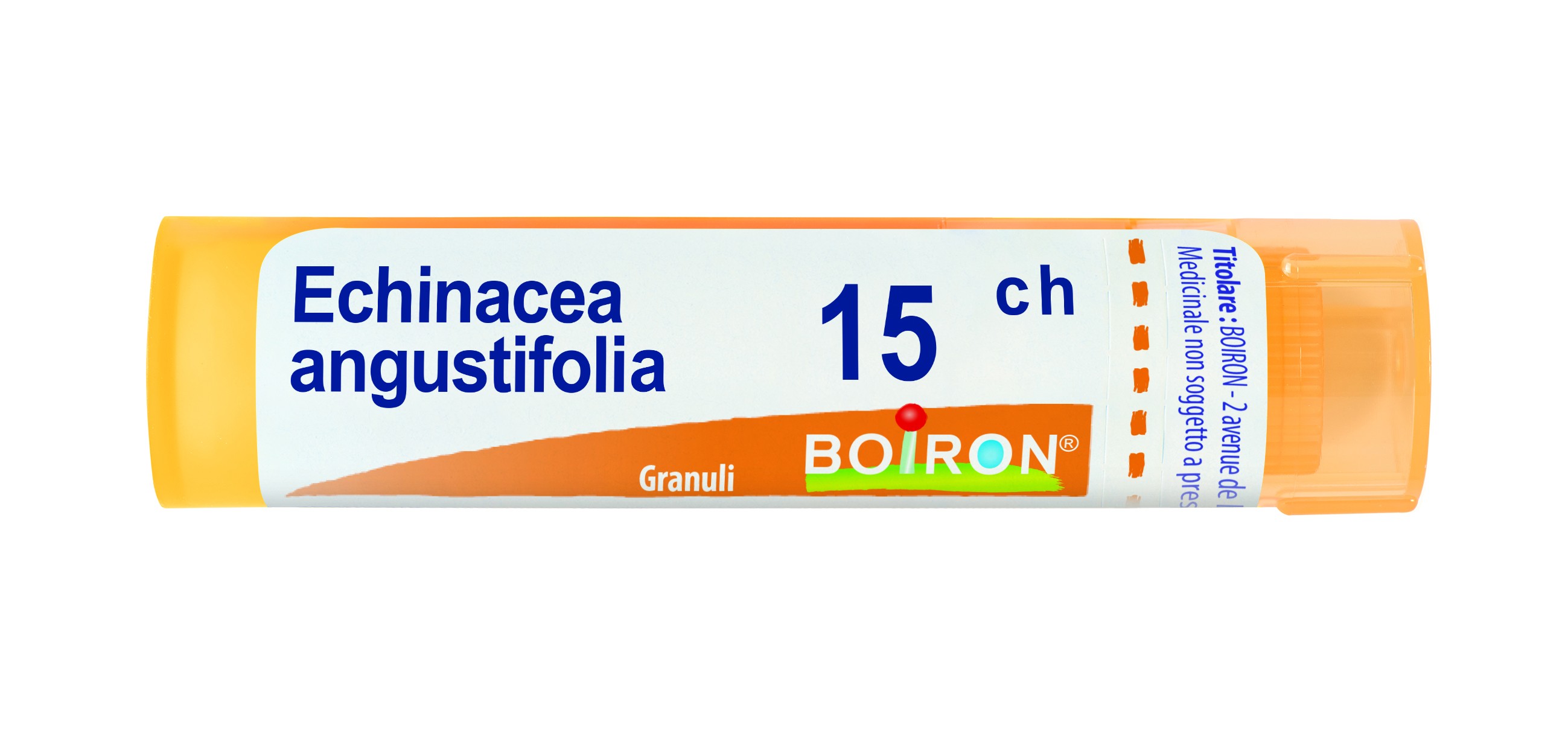 Echinacea angust 15ch gr