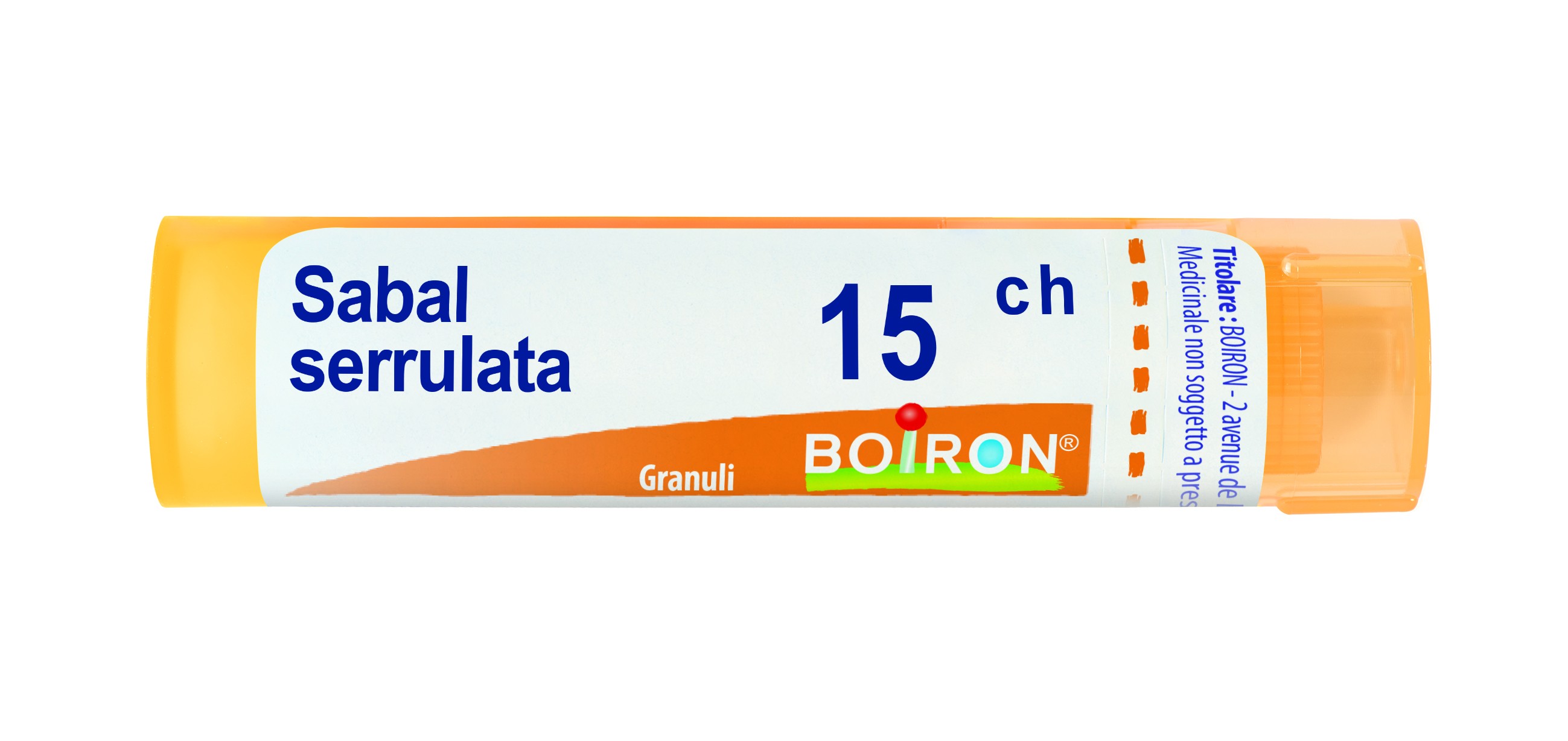 Sabal serrulata 15ch gr