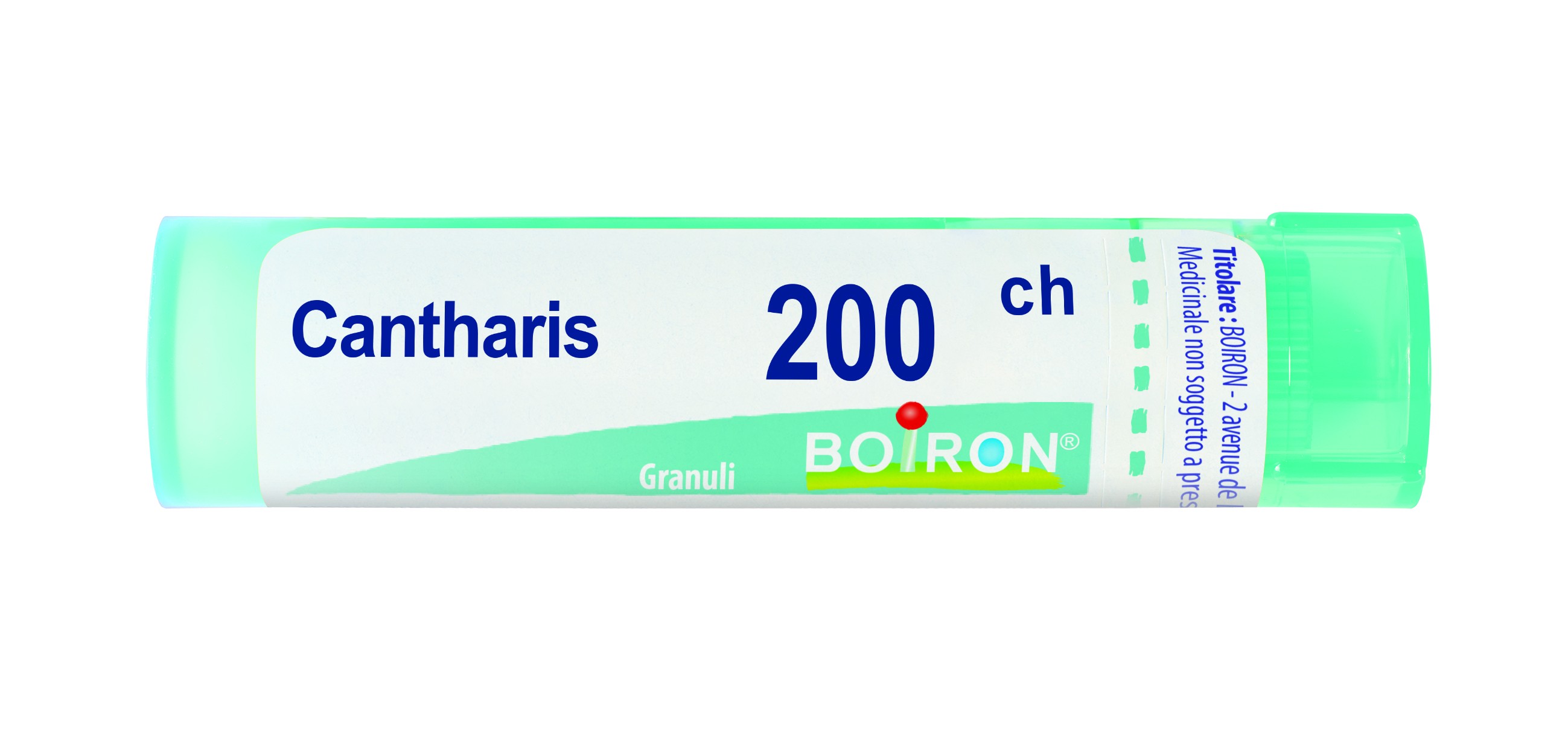 Cantharis 200ch gr
