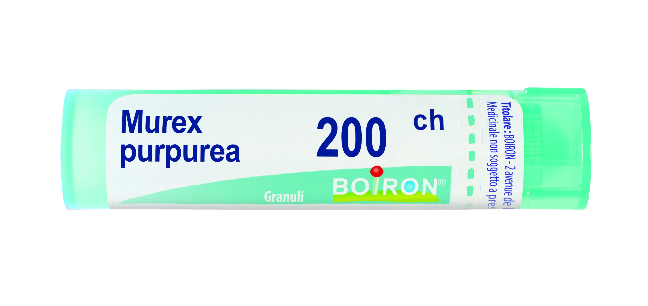 Murex purpurea 200ch gr