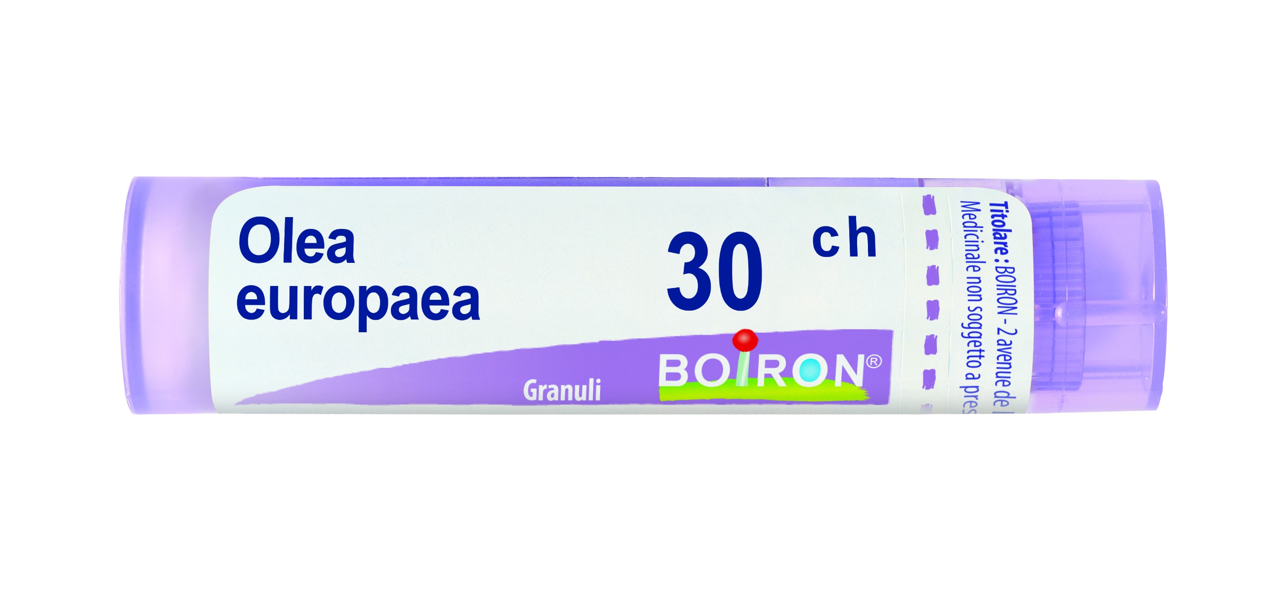 Olea europea 30ch gr 4g