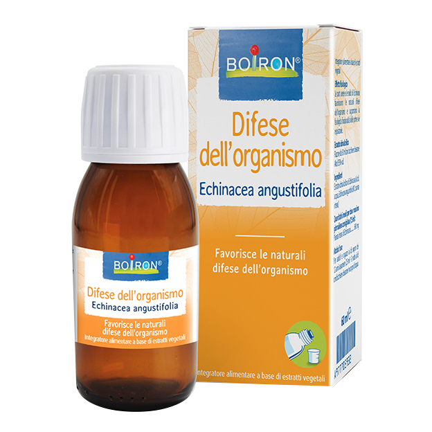 Echinacea angust 4ch gr bo