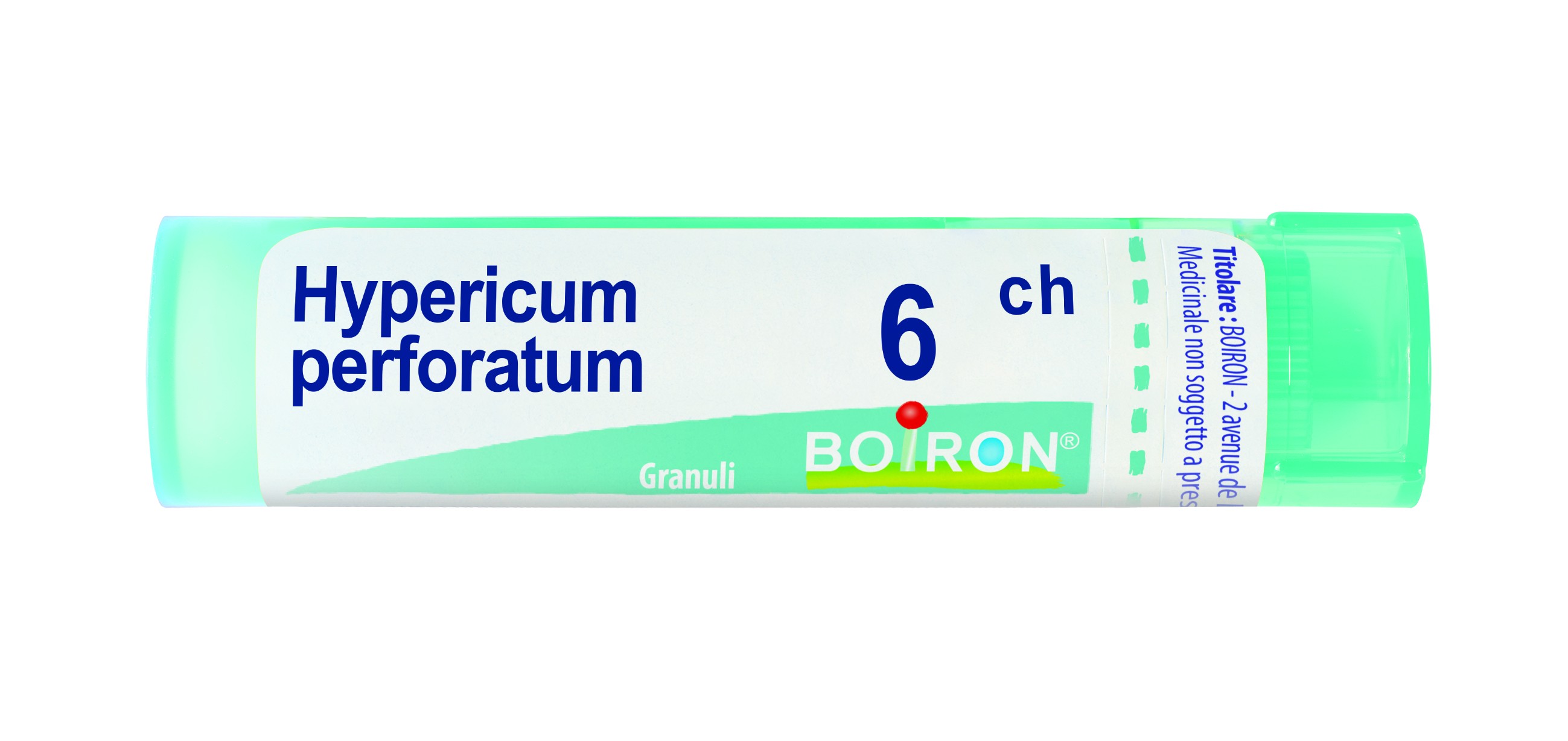 Hypericum perfor 6ch gr
