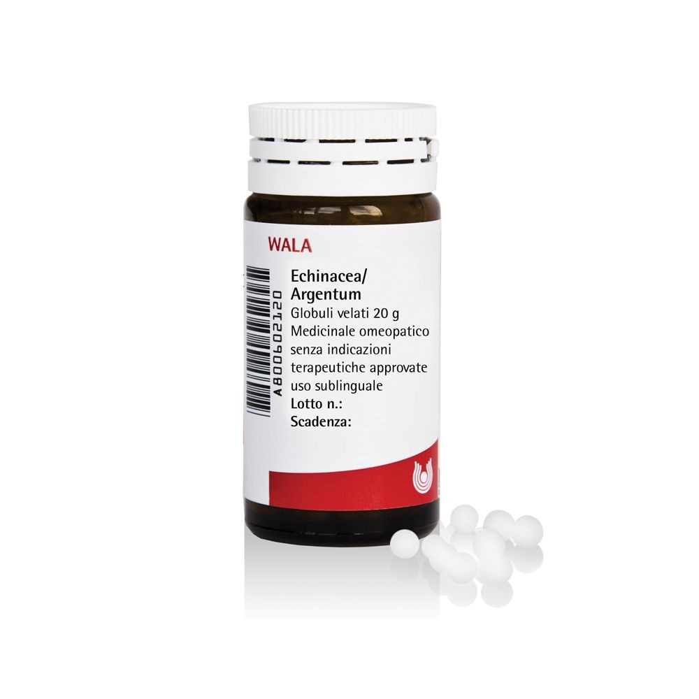 Echinacea argentum 20g gl wala