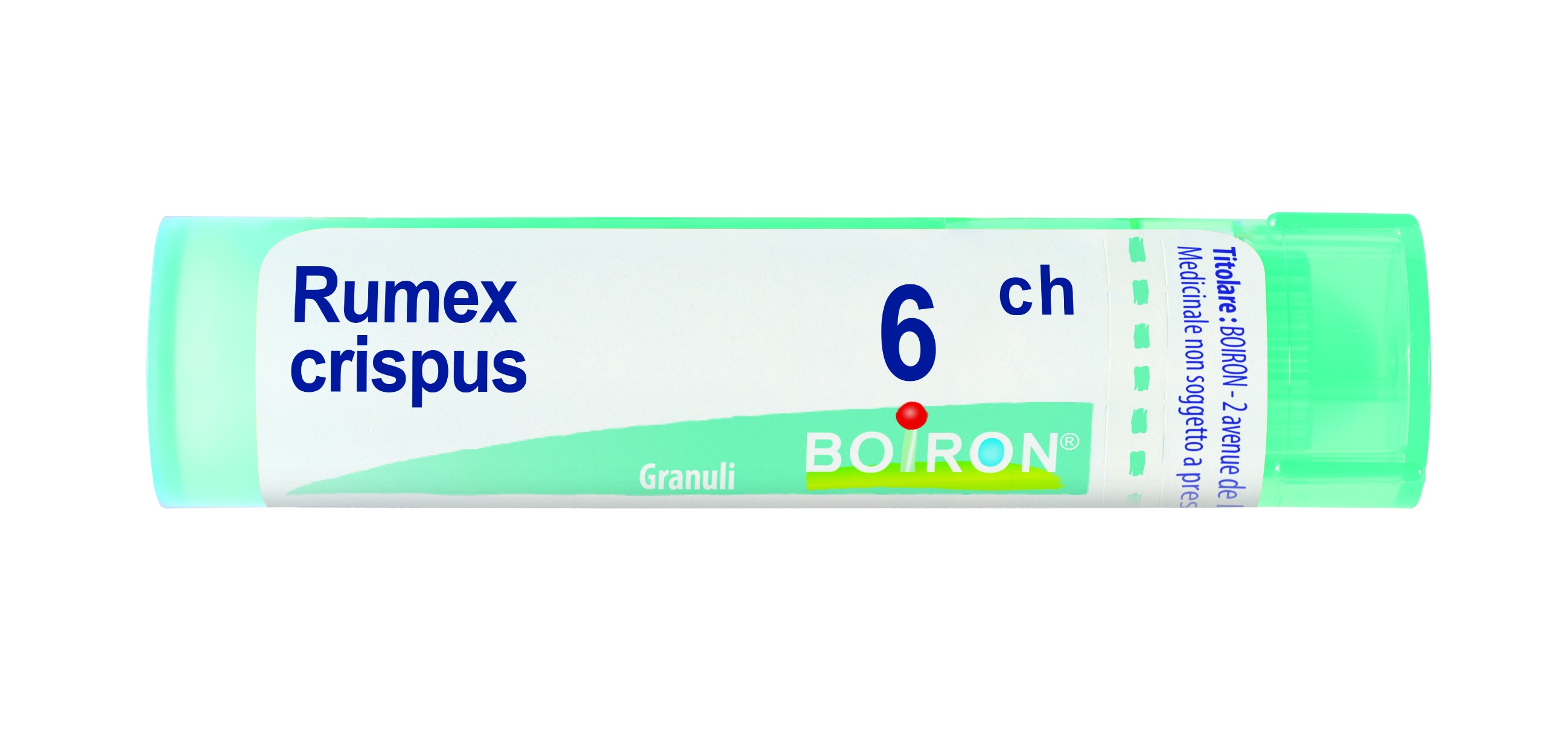 Rumex crispus 6ch gr