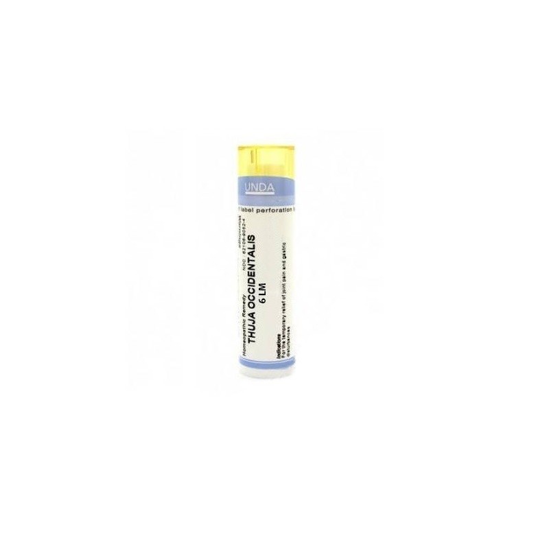 Thuya occident 6lm gr